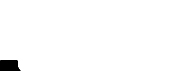 salt logo 2